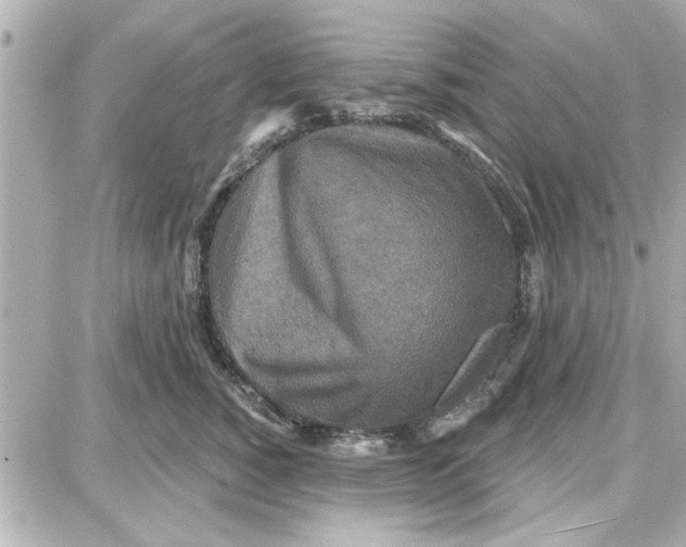 X0000087680760200705251643