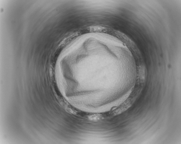 X0000087680761200705251643