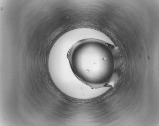 X0000087680762200705251643