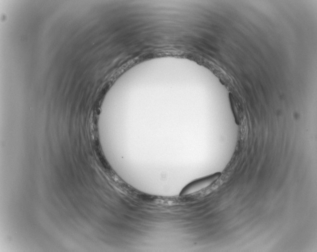 X0000087680764200705251643