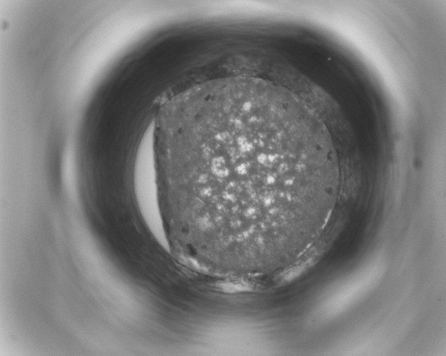 X0000087680765200705251644