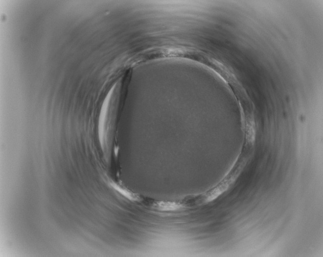 X0000087680766200705251644