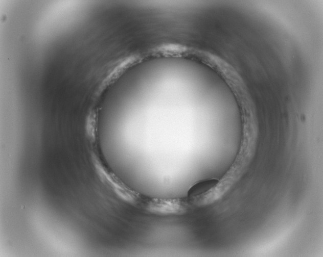 X0000087680768200705251644