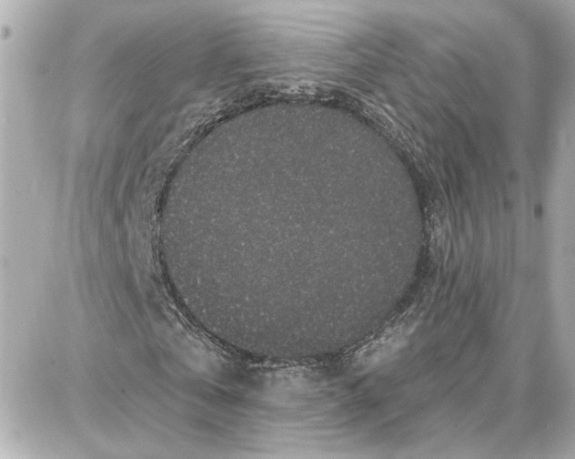 X0000087680769200705251643