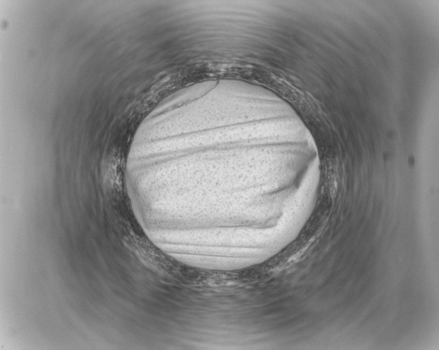 X0000087680770200705251643