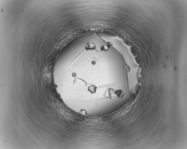 X0000087680771200705251643