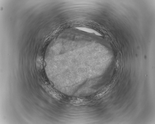 X0000087680772200705251643