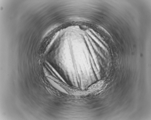 X0000087680775200705251643