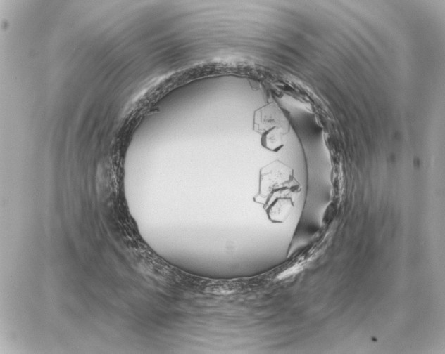 X0000087680776200705251643