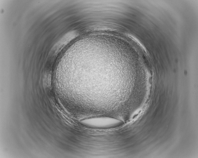 X0000087680777200705251643