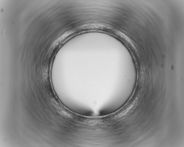 X0000087680778200705251643