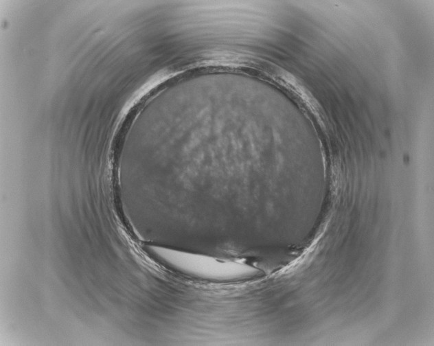 X0000087680779200705251643