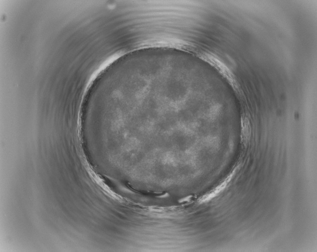 X0000087680780200705251643