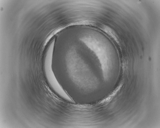 X0000087680781200705251643