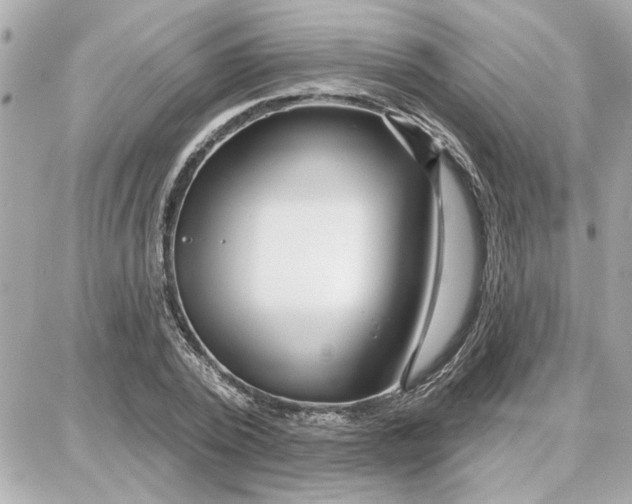 X0000087680784200705251643