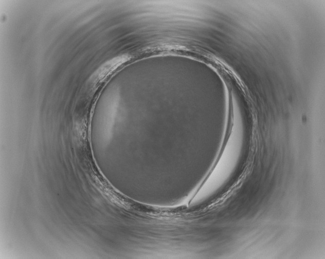 X0000087680785200705251643