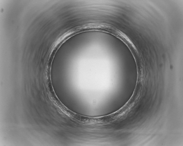 X0000087680786200705251642