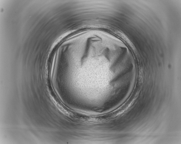 X0000087680787200705251642