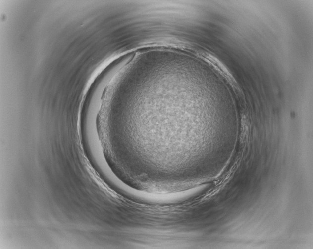 X0000087680788200705251642