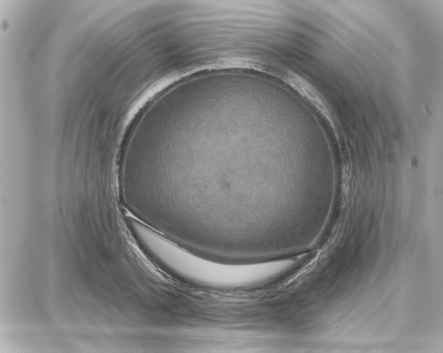 X0000087680789200705251642