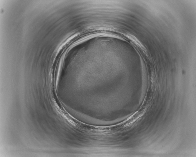 X0000087680790200705251642