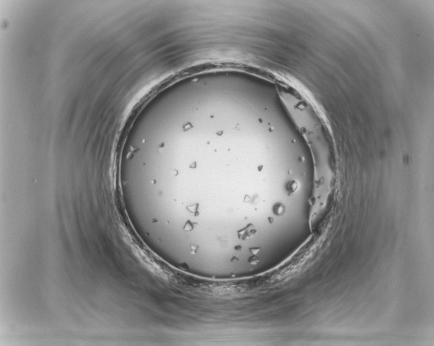 X0000087680791200705251642