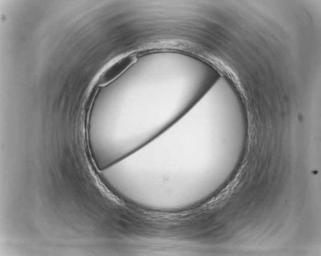 X0000087680792200705251642