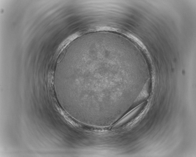 X0000087680793200705251642