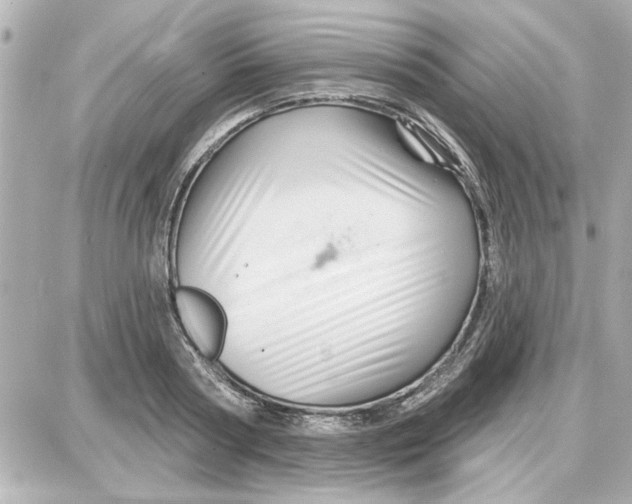 X0000087680794200705251642