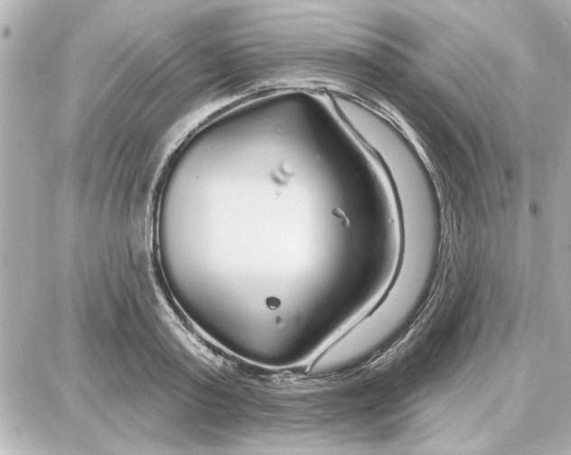 X0000087680795200705251642