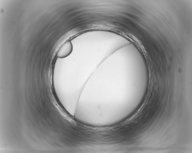 X0000087680796200705251642