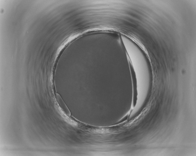 X0000087680797200705251642