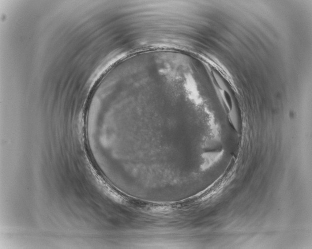 X0000087680798200705251642