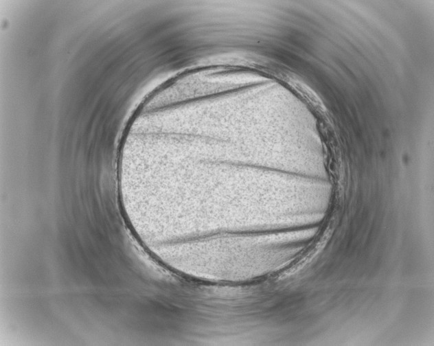 X0000087680800200705251642