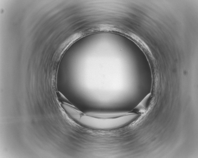 X0000087680801200705251642