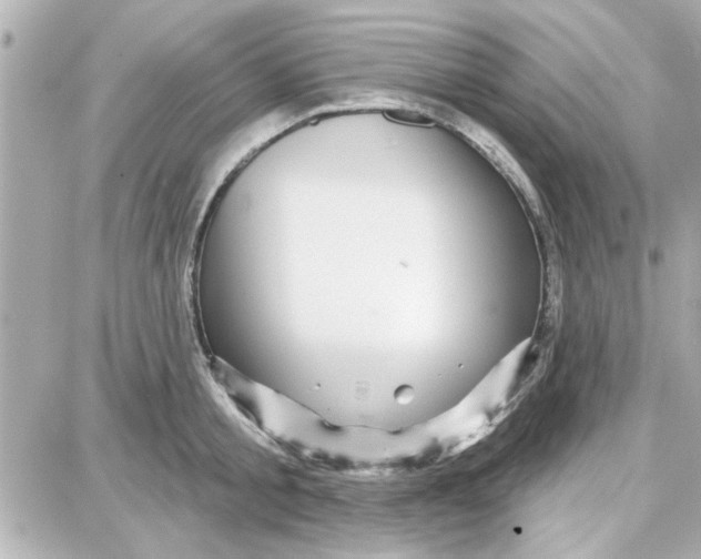 X0000087680805200705251642