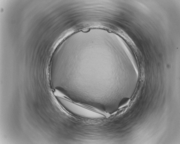 X0000087680806200705251642