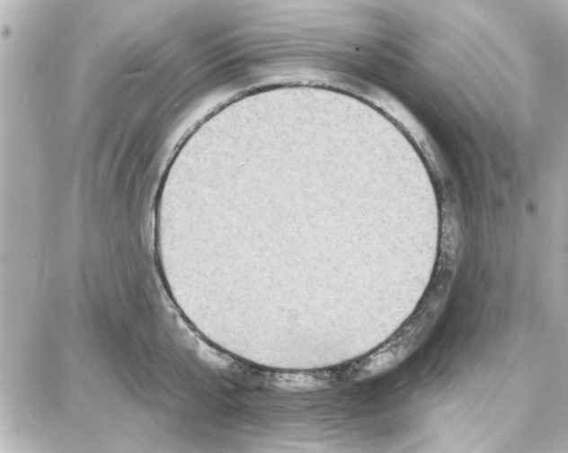 X0000087680807200705251642