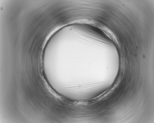 X0000087680808200705251642