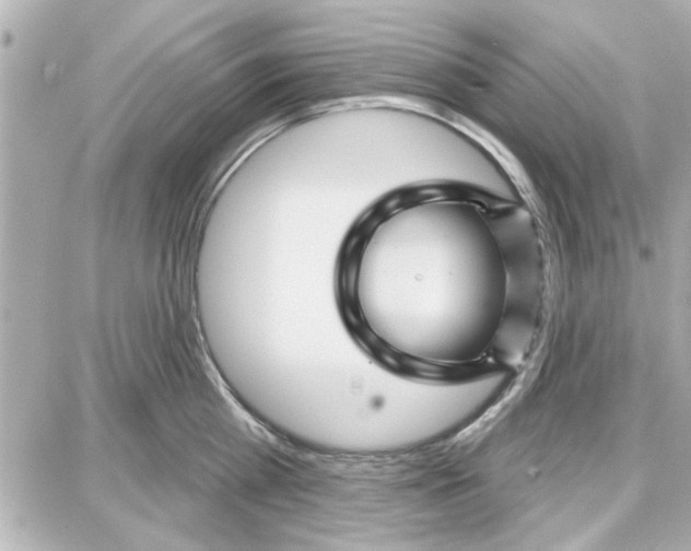 X0000087680809200705251642