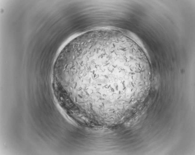 X0000087680811200705251642