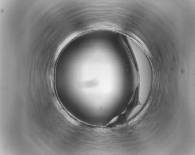 X0000087680812200705251642