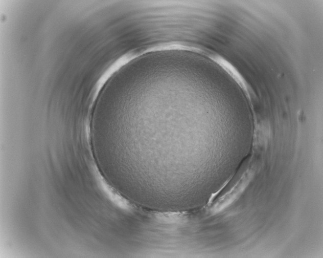 X0000087680813200705251642