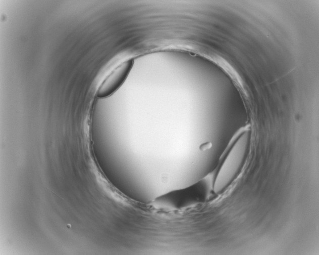 X0000087680814200705251642