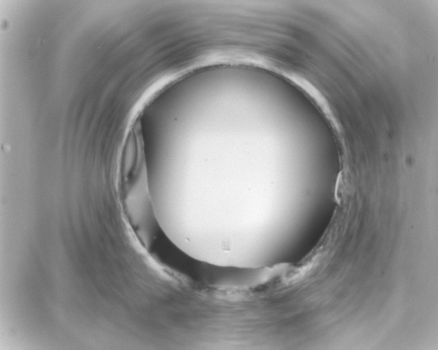 X0000087680815200705251642