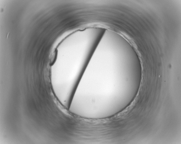 X0000087680816200705251642