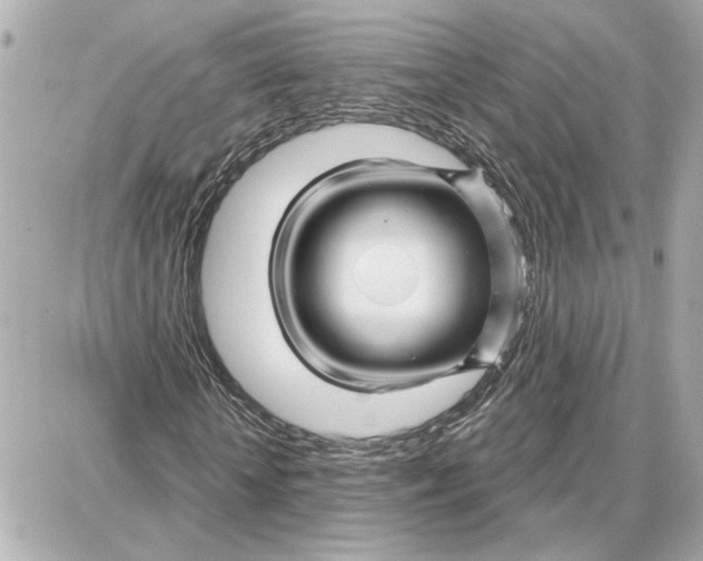 X0000087680818200705251641