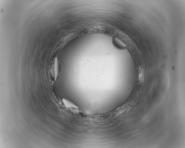 X0000087680819200705251641