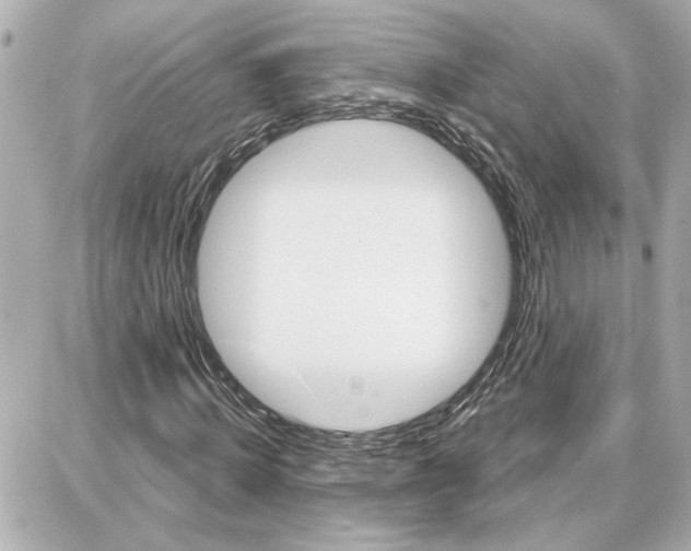 X0000087680820200705251641