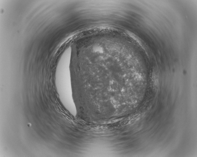 X0000087680823200705251641